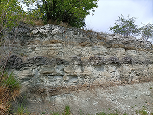 Stromatolithes de la carrière de Gandaillat