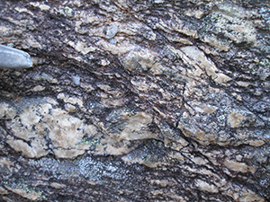 Gneiss de la Montagne Noire