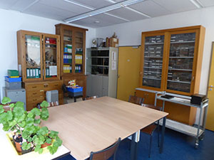 Salle de collection